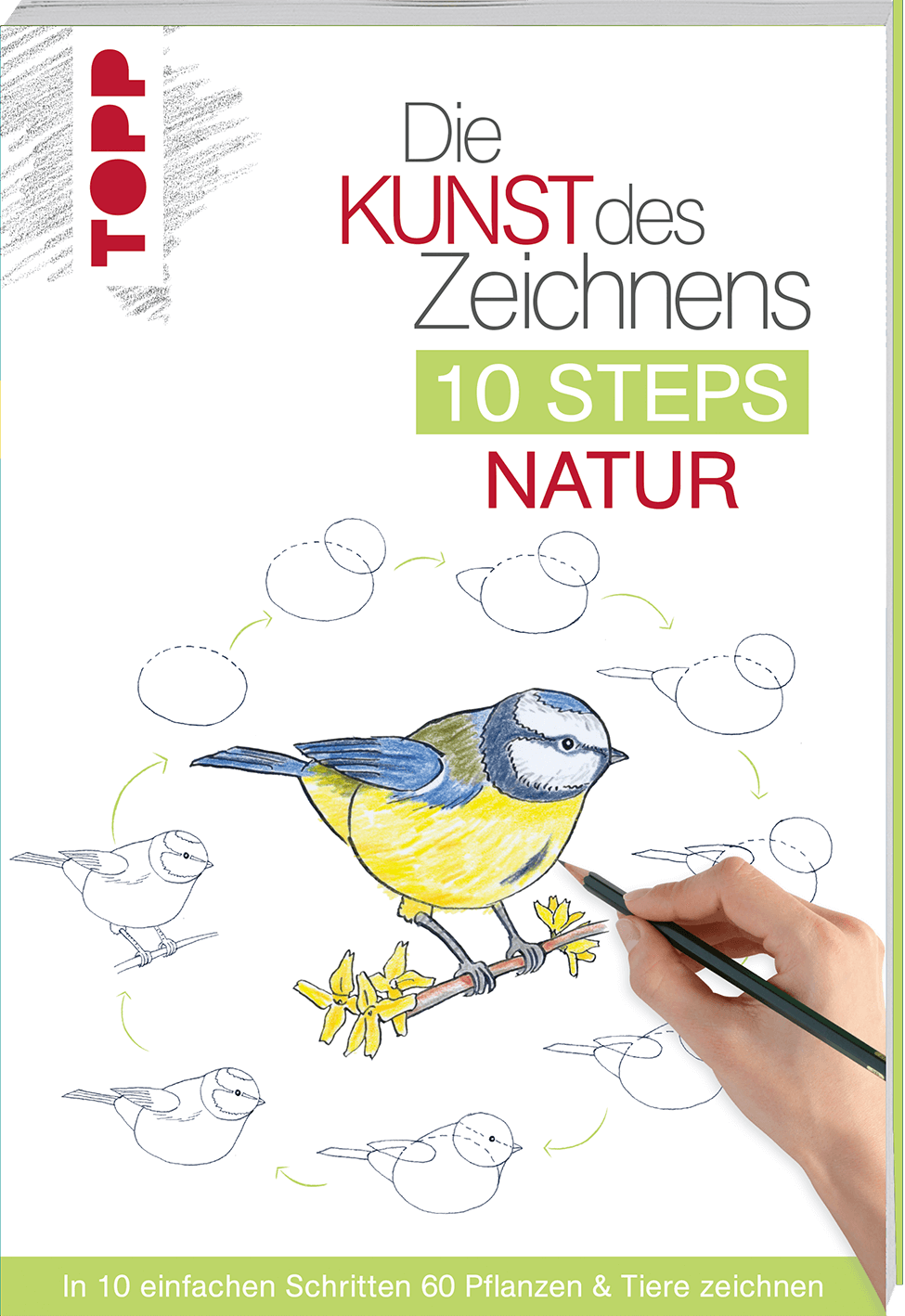 Die Kunst des Zeichnens 10 Steps - Natur