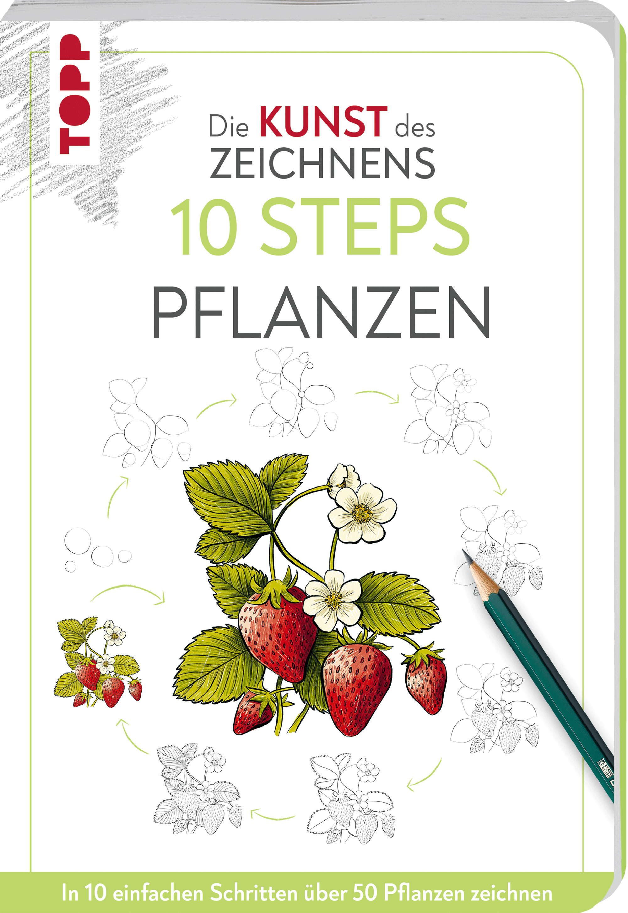 Die Kunst des Zeichnens 10 Steps - Pflanzen