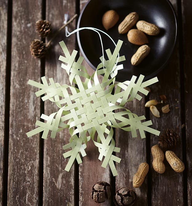 Skandinavischer Flechtstern in gruen