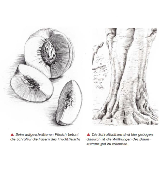 Zeichnen lernen - Lektion Schraffuren