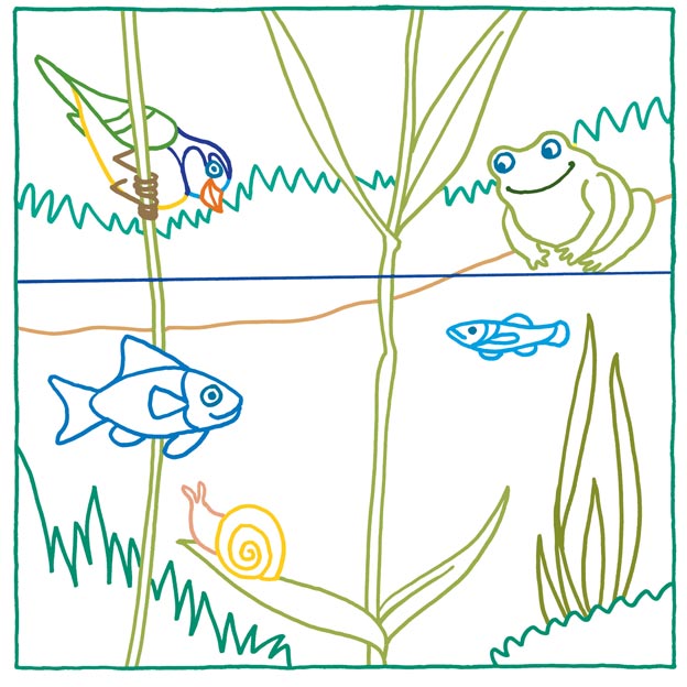 Zauberpapier Beispielseite am Teich