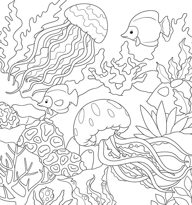 Zauberpapier Motiv mit Quallen und Korallen