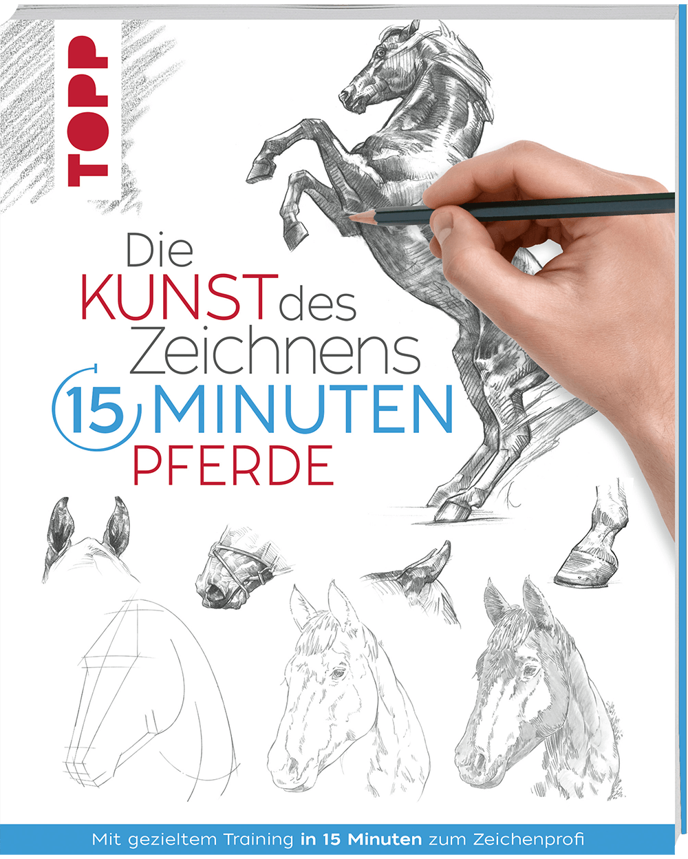 Die Kunst des Zeichnens 15 Minuten - Pferde