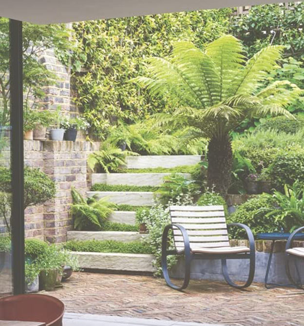 Bild von Palme und Gartenstuhl