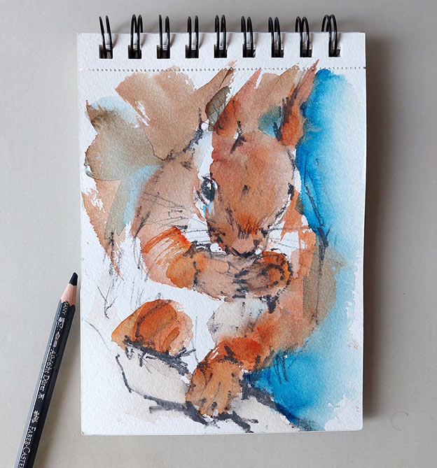 Eichhörnchen mit Aquarell malen