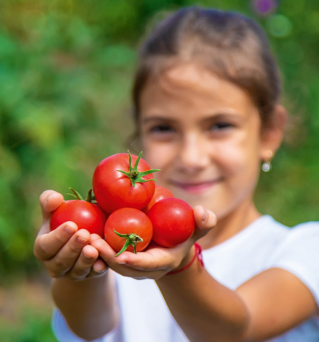 Mädchen hält Tomaten