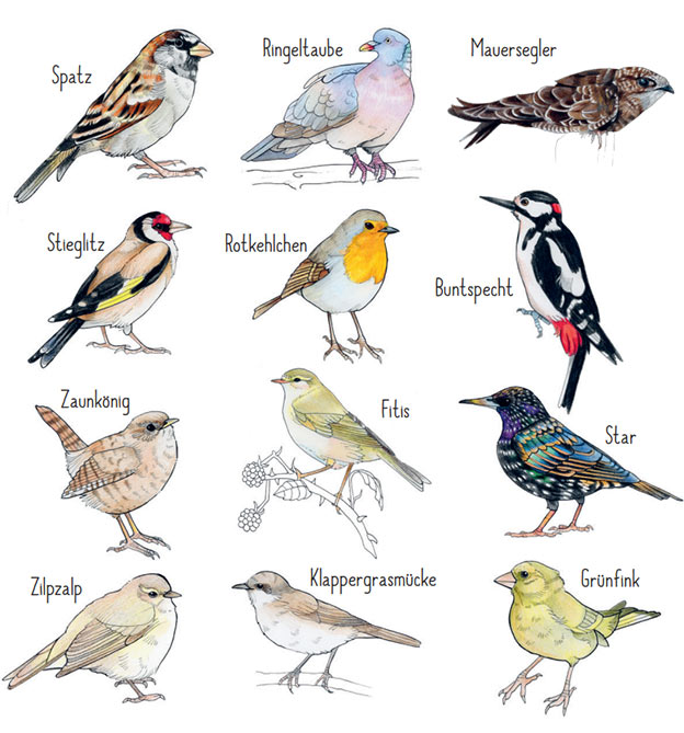 Ausgemalte Voegel Musterbeispiel