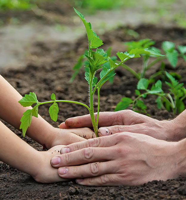 Eltern und Kind pflanzen Samen ein