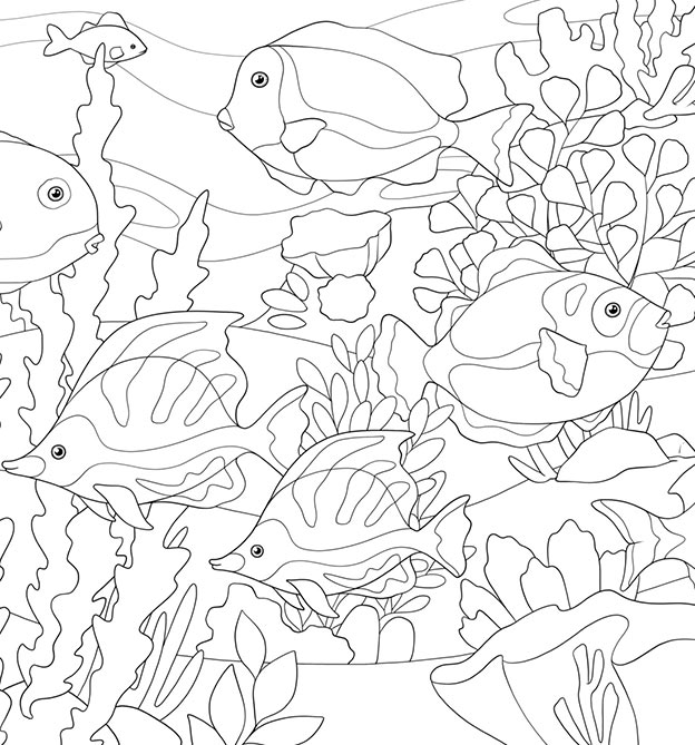 Zauberpapier Motiv unter Wasser mit Fischen und Korallen